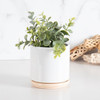 The Blume 22 oz ceramic planter