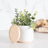 The Blume 22 oz ceramic planter