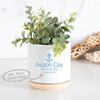 The Blume 22 oz ceramic planter