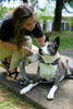 PawFlex Retractable Pet Leash