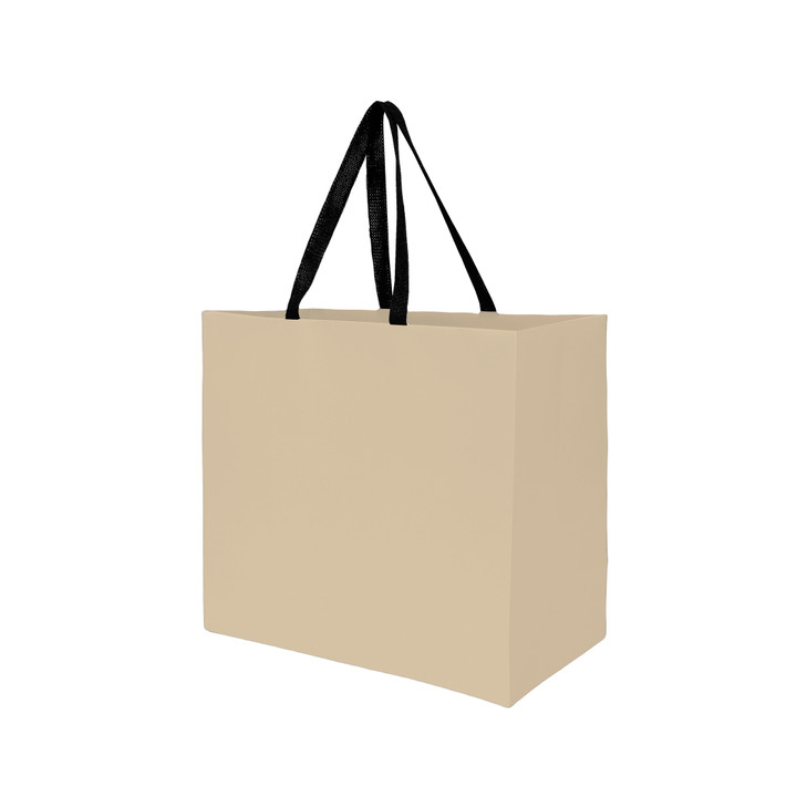 Paper Sustainable Bag with Web-Style Paper Handles (13x5x10)