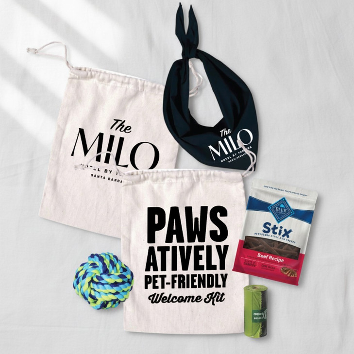 Pawsatively Welcome Kit (Large)