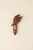 Back of carved wood peapod brooch, showing the metal pin mechanism, the Frick Collection monogram, and Eittem's maker's mark.