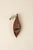 Back of a carved dark wood (walnut) leaf brooch with a silver pin mechanism, the Frick Collection monogram, and Eittem maker’s mark.