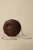 Closed, circular dark walnut wood handbag with two subtle crescent-shaped indentations featuring a silver-tone chain strap.