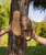 edebarefoot Earth