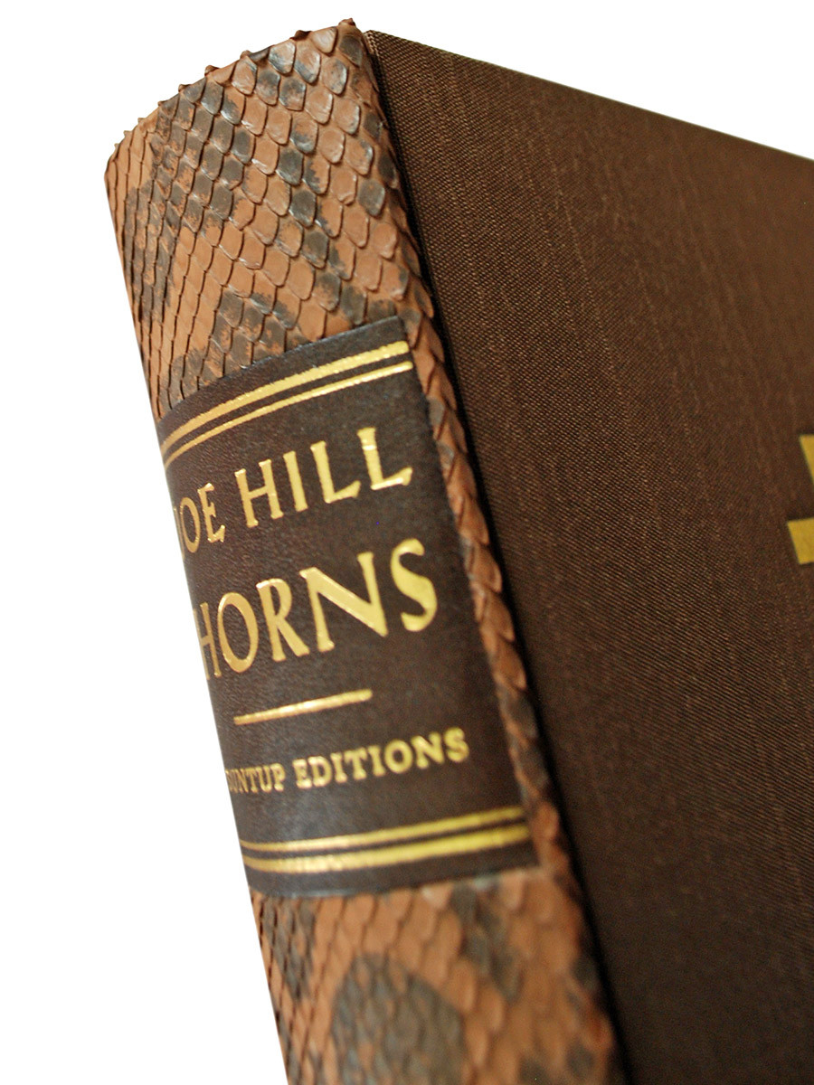 Joe Hill "Horns" Signed Limited Edition No. 115  of 250 w/Limited Promotional Art Kit