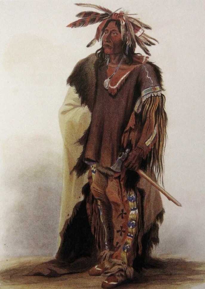 Michael Johnson "SIOUX: Warriors of the Plains" Deluxe Leather Bound Limited Edition  [Sealed]