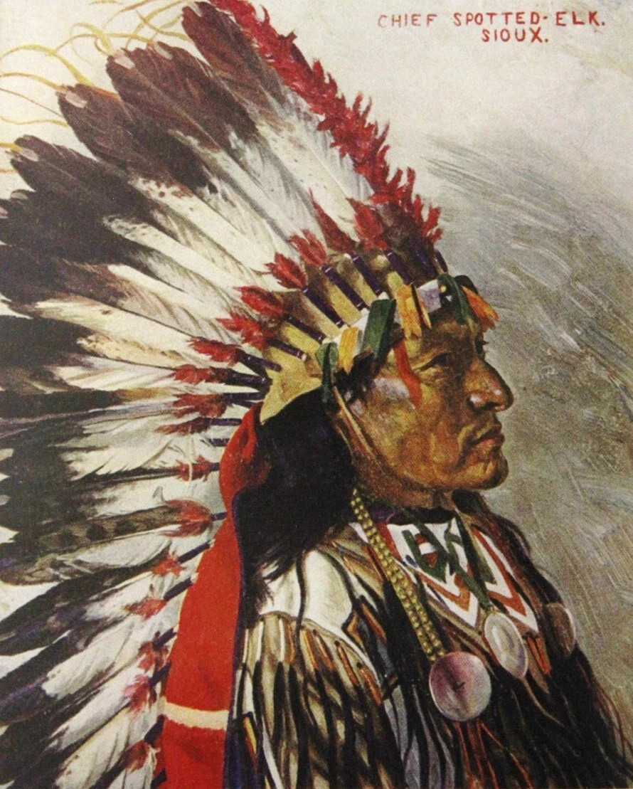 Michael Johnson "SIOUX: Warriors of the Plains" Deluxe Leather Bound Limited Edition  [Sealed]