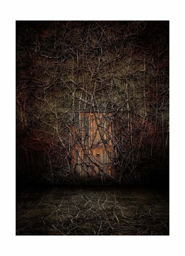 Stephen King "REVIVAL" Traycased Signed Limited Art Portfolio 156 of 400, Signed by François Vaillancourt [Very Fine]