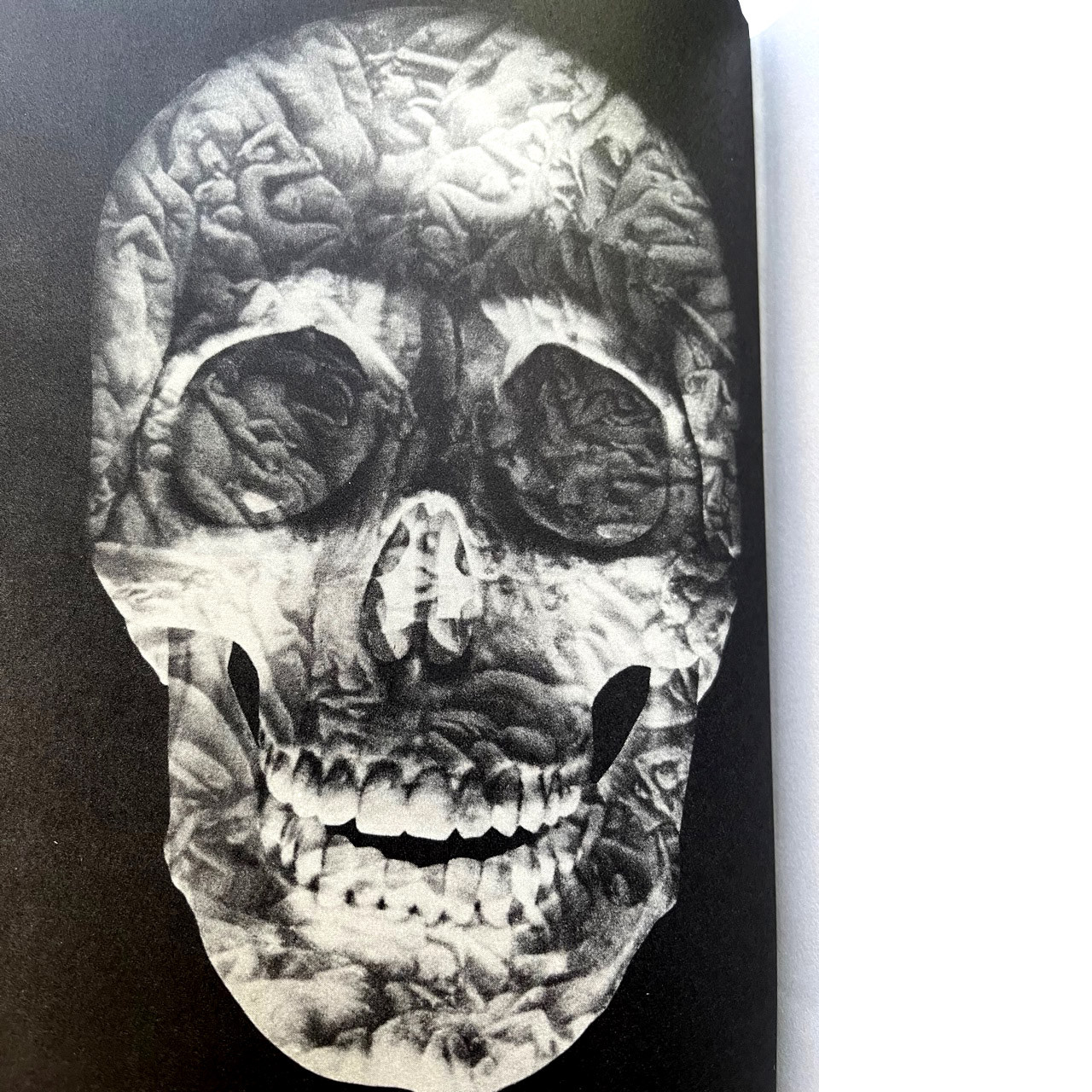 "Book Of The Dead" Slipcased Signed Limited Edition No. 390 of 500 [Fine/Fine]