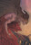 Thomas Harris "Red Dragon" Signed Limited Edition No. 90 of 250, Slipcased w/Bonus Limited Premiums  [Very Fine]