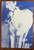Stephen King "My Pretty Pony" Slipcased First Edition, First Printing
