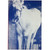Stephen King "My Pretty Pony" Slipcased First Edition, First Printing