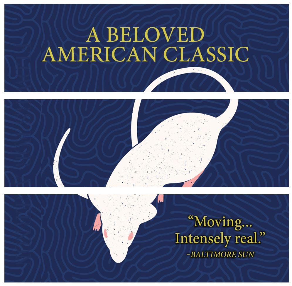 トイガン Flowers for Algernon Amazon | Flowers For Algernon: The must-read literary