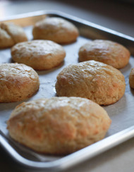 Honey Buttermilk Biscuits