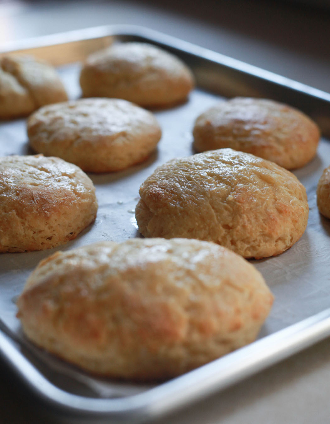 Honey Buttermilk Biscuits - Tonn's Honey