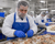 Seafood processing worker wearing a beard cover, hair net, blue apron, and gloves while handling shrimp in a food processing facility.
