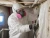 worker using msa flexi filters p100
