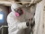 worker using msa flexi filters p100