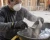 Construction worker wearing a disposable dust mask respirator while handling dusty materials on a jobsite