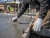 Leather Cut Resistant Glove Style 4066
