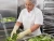 Food processing worker wearing reusable latex gloves while rinsing fresh lettuce in commercial kitchen