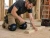Contractor wearing hard cap knee pads while hammering wood framing on an indoor construction site.\\