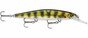 RAPALA Shadow Rap Deep 11 Live Perch