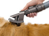 Dyson Gray Pet Groom Dyson Gray Pet Groom