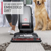 Hoover Complete Pet UH30650 Hoover Complete Pet UH30650