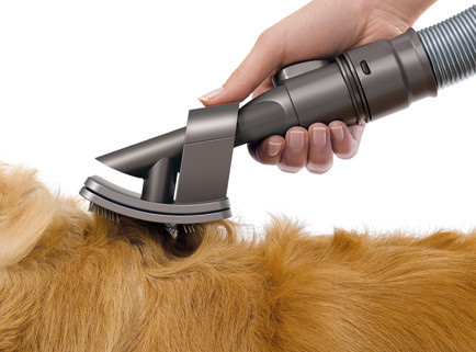 Dyson Gray Pet Groom