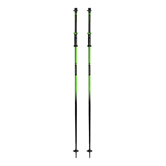 Armada Triad Ski Pole Green View
