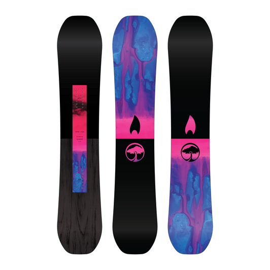 Arbor Rain 2026 Top/Base View