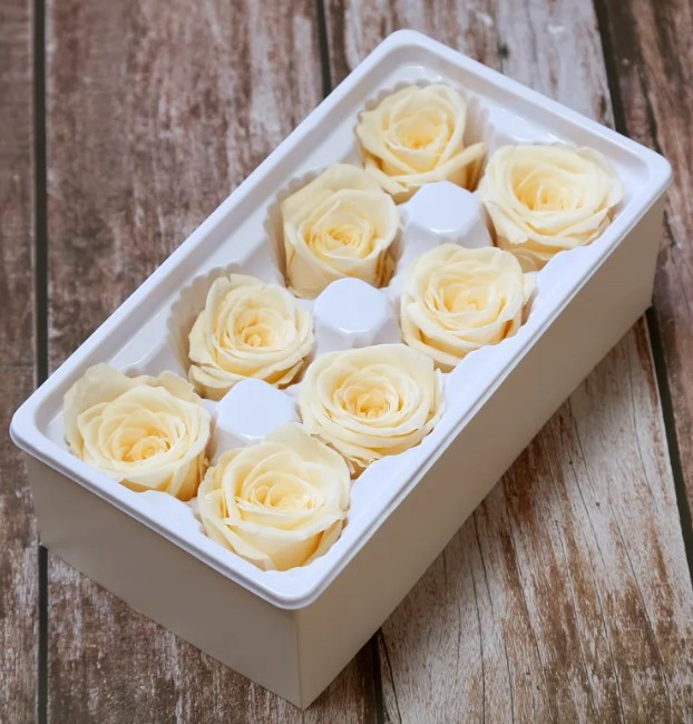 Dried and Preserved Eternal Roses 8pk - Cream
