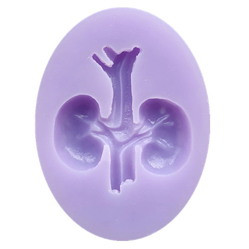 Human Organs-Kidneys Silicone Mold 