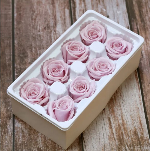 Dried and Preserved Eternal Roses 8pk - Dusk Pink