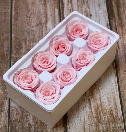 Dried and Preserved Eternal Roses 8pk - Baby Pink