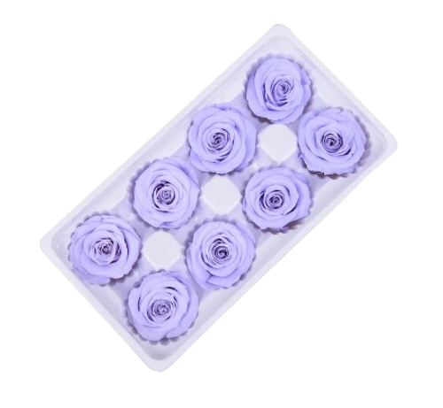 Dried and Preserved Eternal Roses 8pk - Lavender