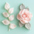 FMM Rose leaf cutters- 3 pieces