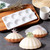 Shell Silicone Mold- 8  cavity