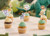 Jungle Safari Animal Themed Cupcake Toppers-12 pc