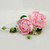 Sugar Decorations - 2 Large Peony Bouquet Pink