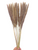 Dried/Preserved Flowers Small Pampas Grass - Natural