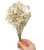 Dried/Preserved Flowers- Babysbreath/Gypsophila - White (Available In Store Only)