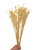 Dried/Preserved Flowers Linseed Flower - White (Available In Store Only)