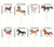 Cupcake Toppers - Horses 12pc