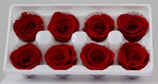 Dried and Preserved Eternal Roses 8pk - Red