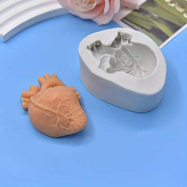 Anotomical Human Heart Silicone Mold