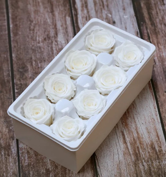 Dried and Preserved Eternal Roses 8pk - White 